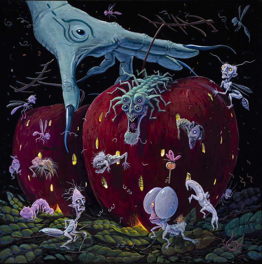 Joe-Vaux-Pets