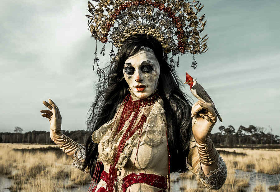 Mothmeister-Criaturas-Laya