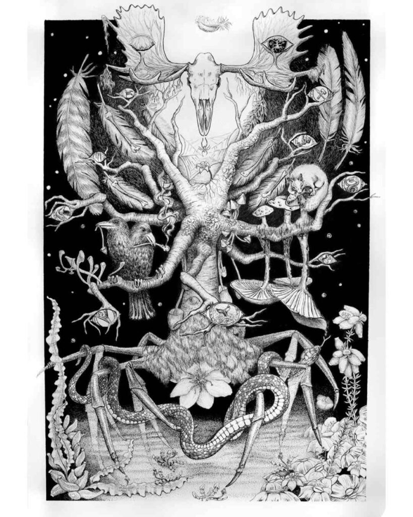 NaBo-Yggdrasil