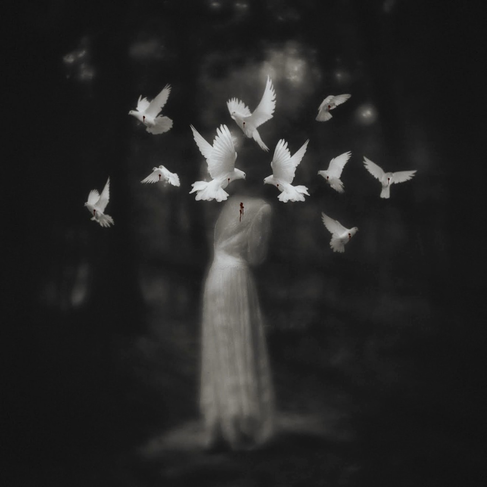 Sharon-Covert-birds