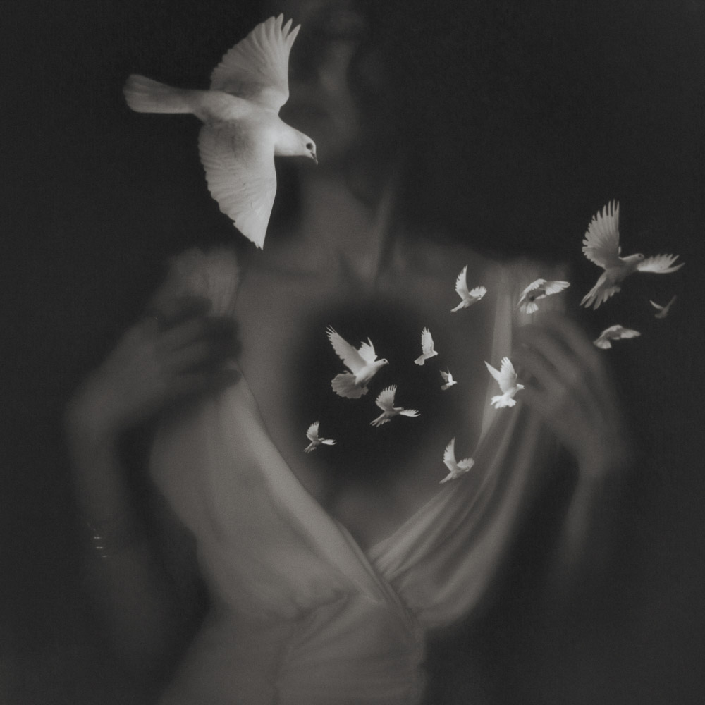 Sharon-Covert-conept-photography