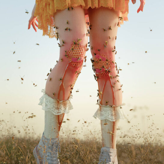 VZWEL-Bees-Knees