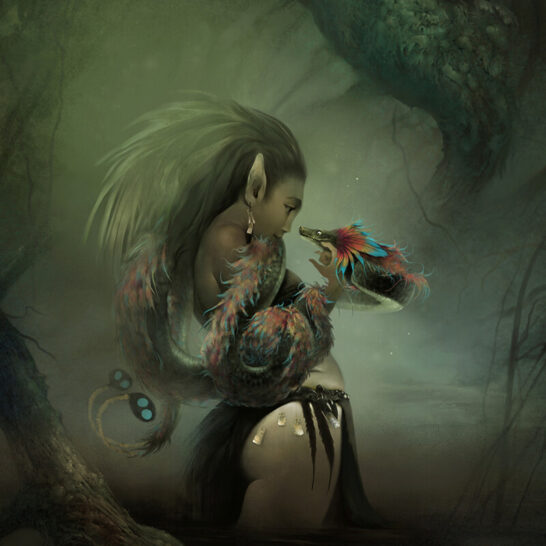 Jason-Behnke-bird-of-paradise