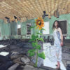 Lacey- Bryant-sunflower