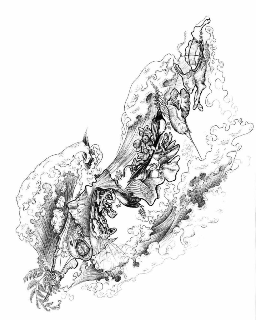 NaBo-Illustration-1