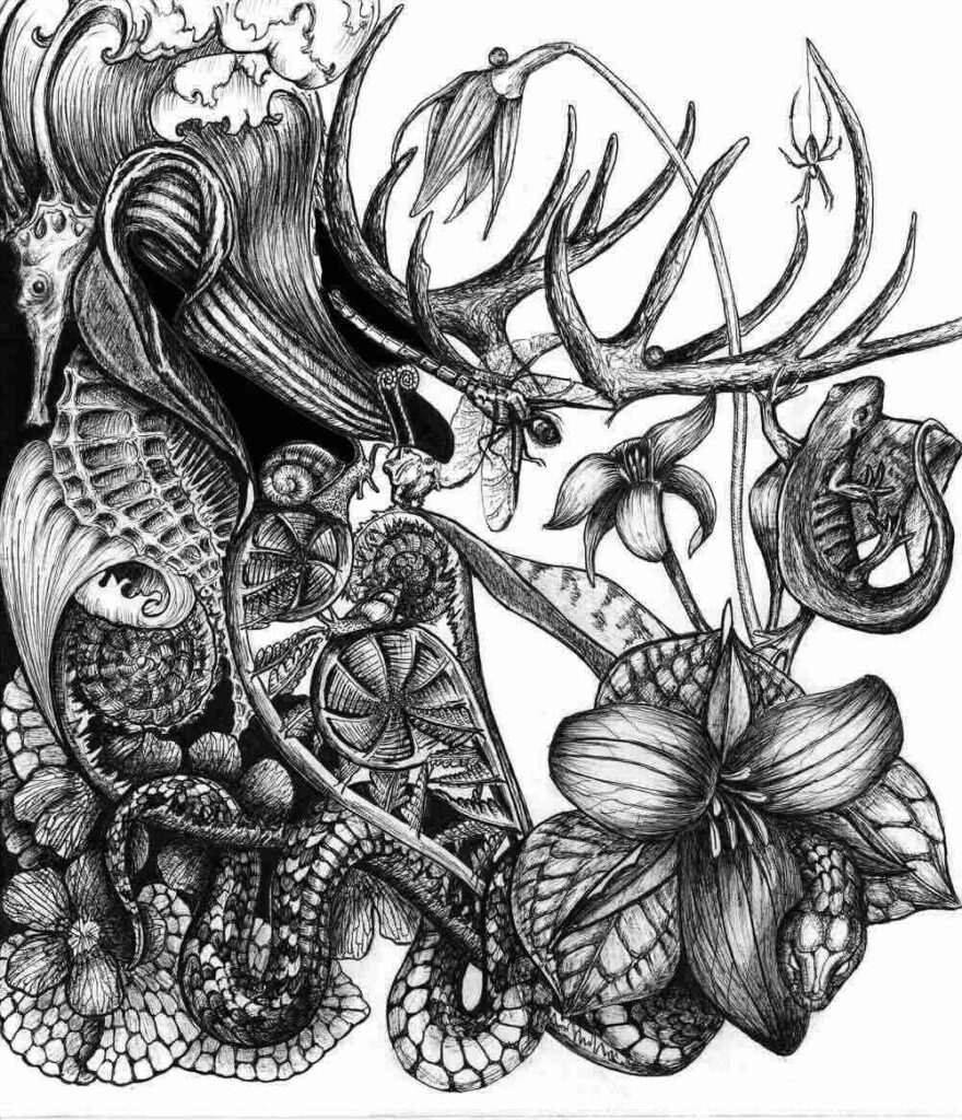 NaBo-Illustration