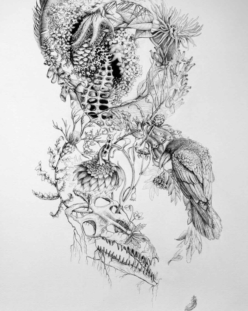 NaBo-artwork