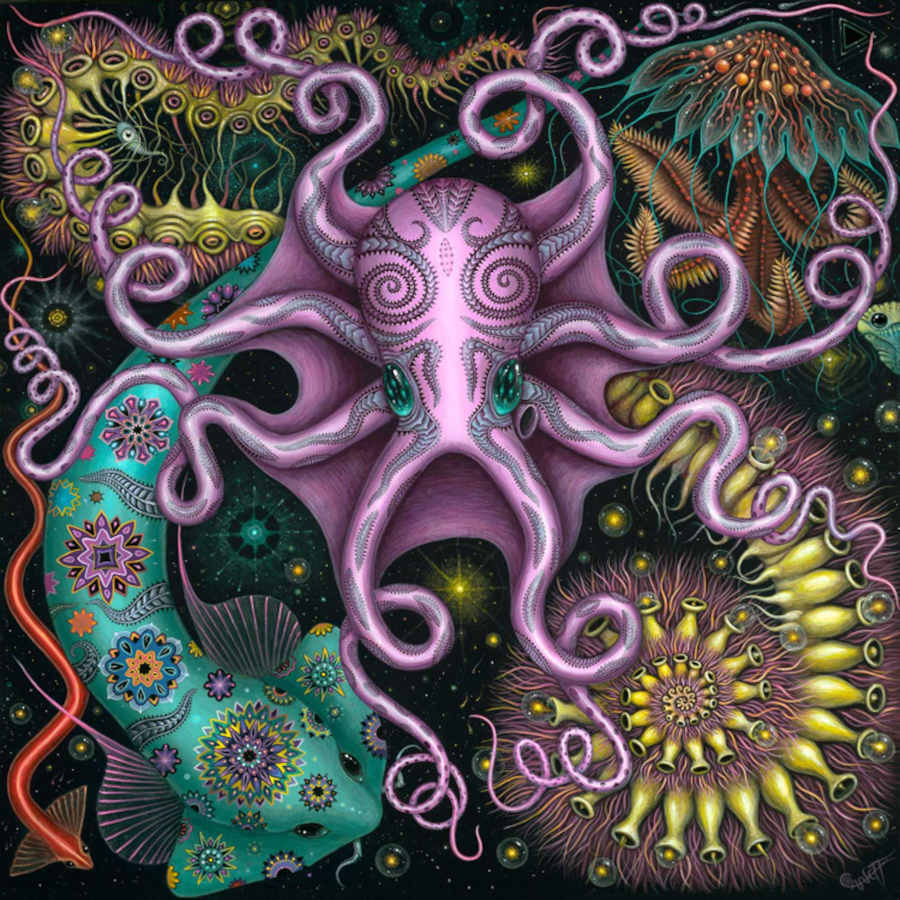 Robert-Connett-Chromatophoric-Patterns