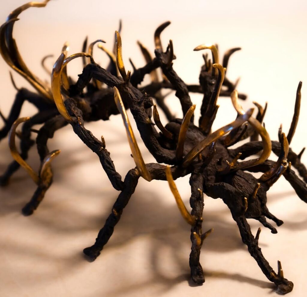 Ross-Takahashi-Mycelium-feast