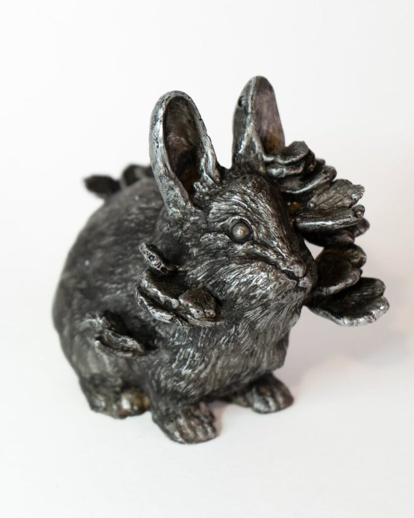 Ross-Takahashi-Pygmy-rabbit