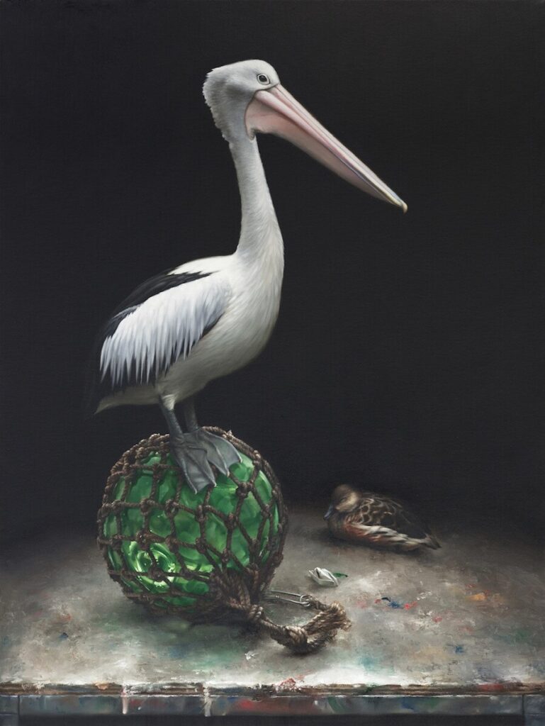 Jacqueline-Butterworth-seagull