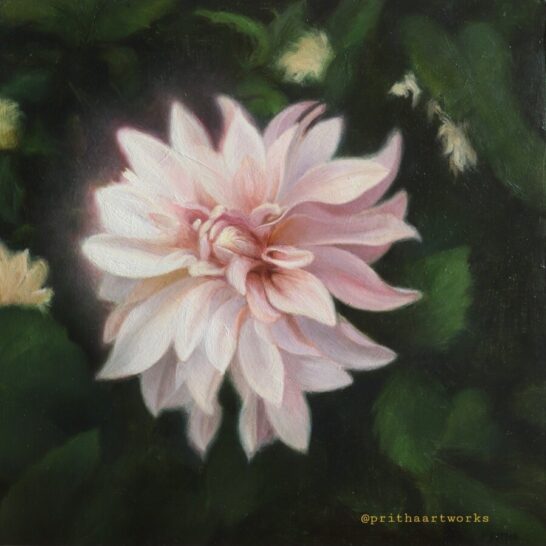Pritha-Bhadra-Dahlia