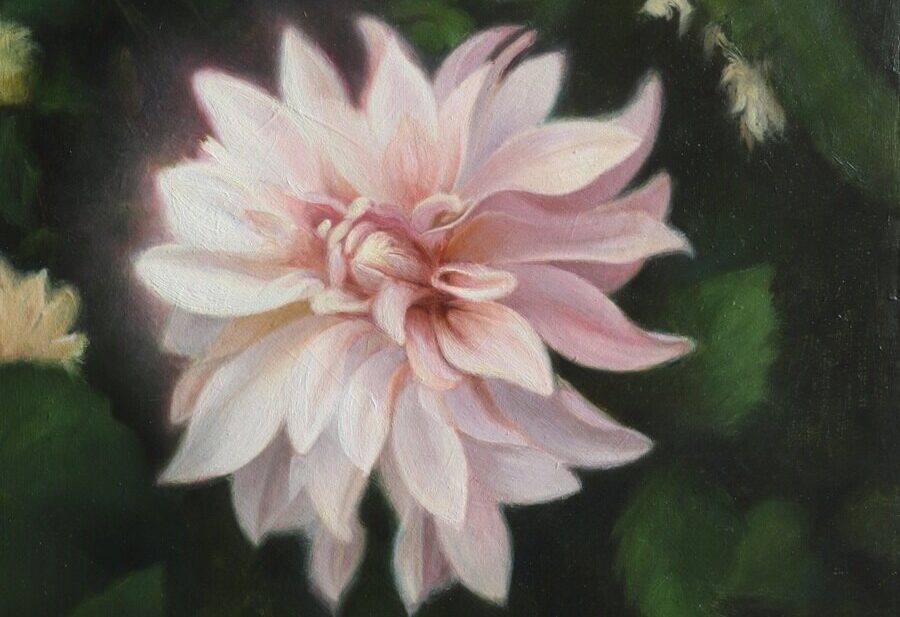 Pritha-Bhadra-Dahlia
