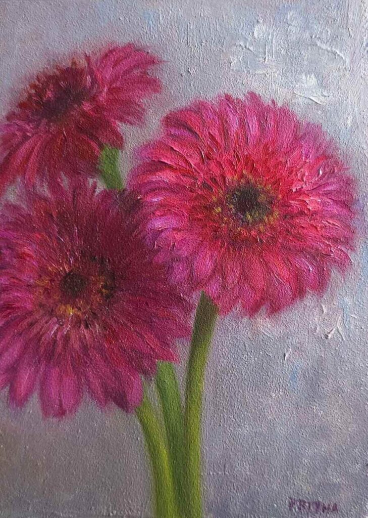 Pritha-Bhadra-Pink-Gerberas