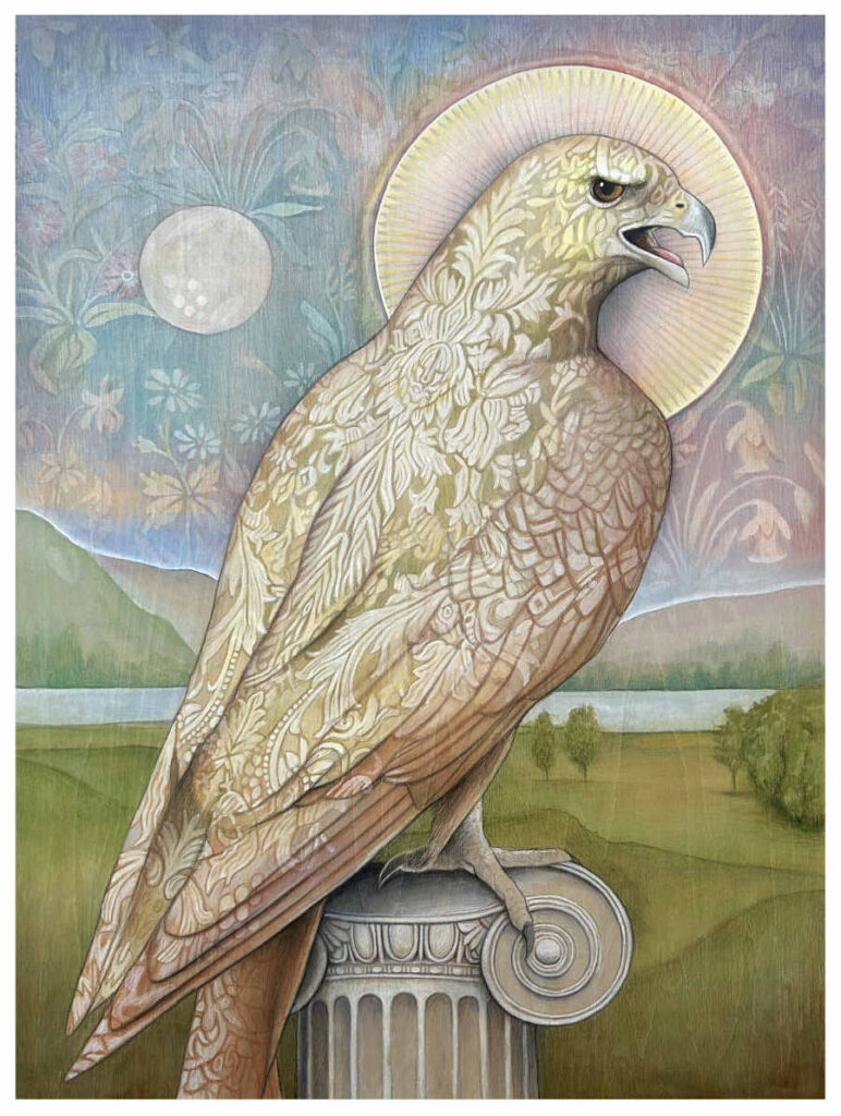 Illumination-Liz-Bradford