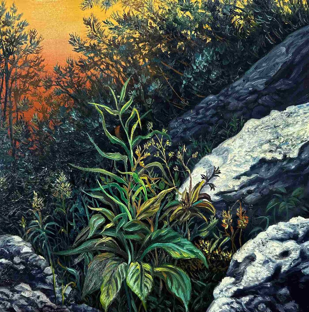 Angela-Gram-nocturne
