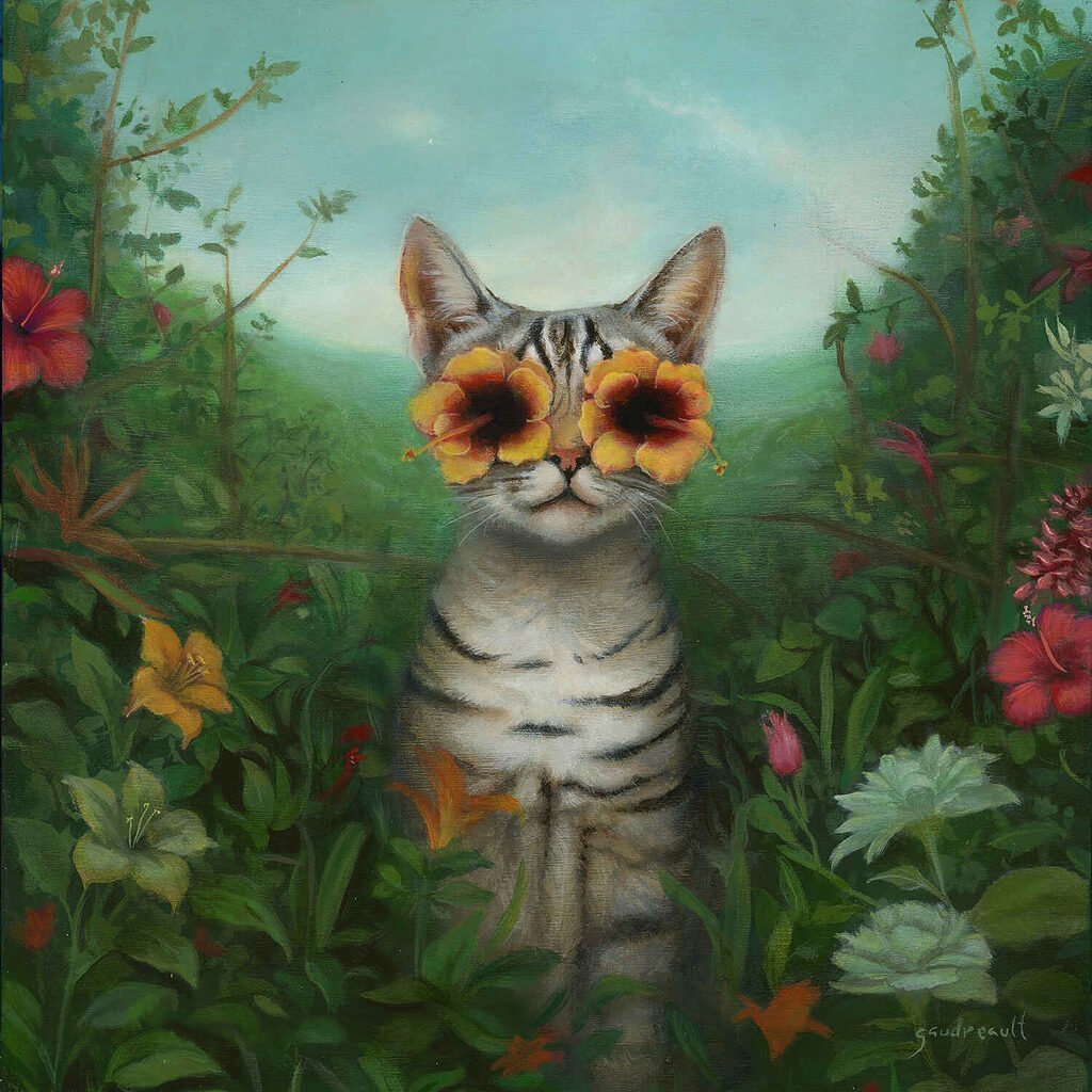 Caroline-Gaudreault-cat