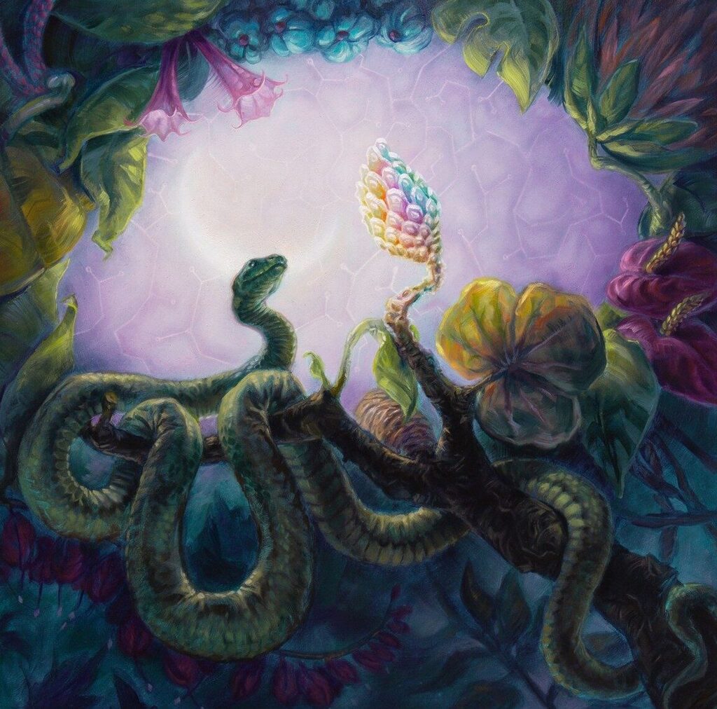 Dan-Cohen-snake