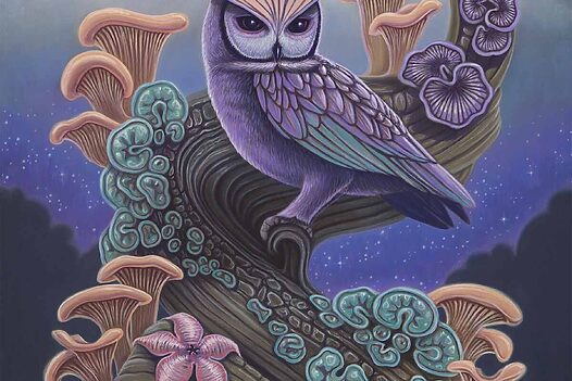 David-Natale-Bloom-of-the-Hollow