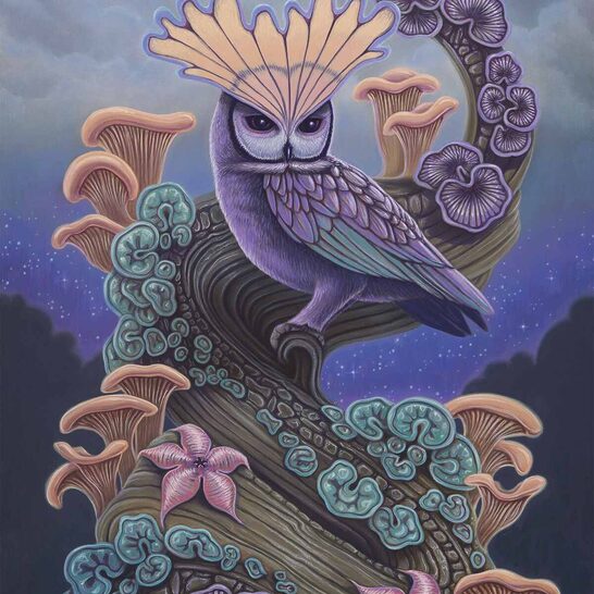 David-Natale-Bloom-of-the-Hollow