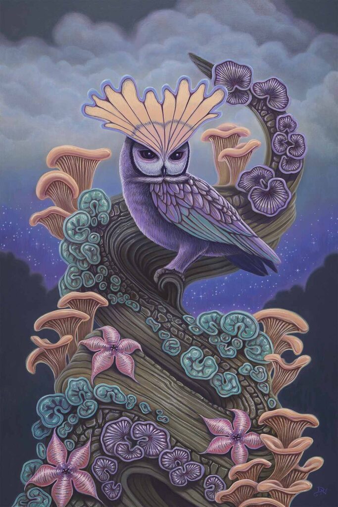 David-Natale-Bloom-of-the-Hollow