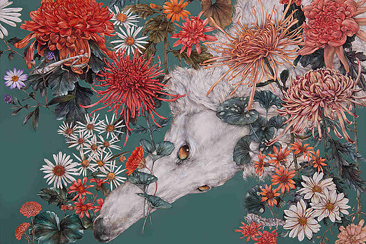 Fumi-Nakamura-dogs