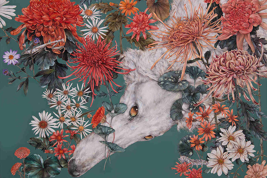 Fumi-Nakamura-dogs