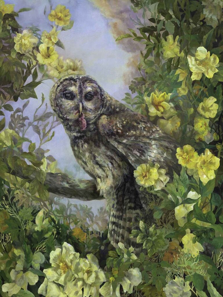 Rhea-O-Neill-owl
