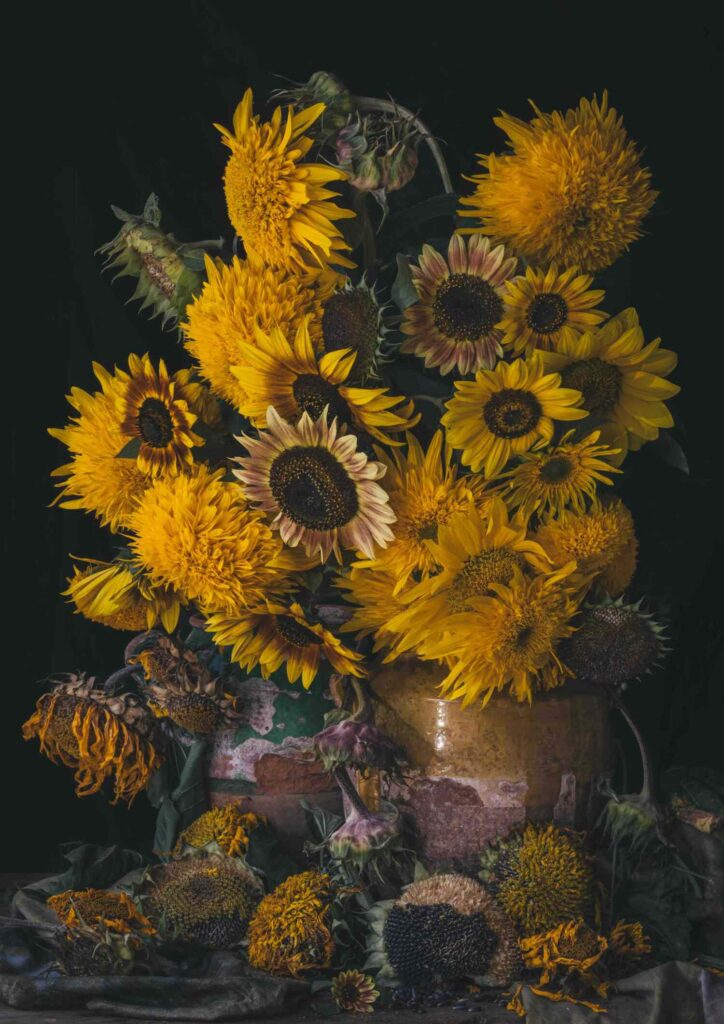 Heart-of-Gold
