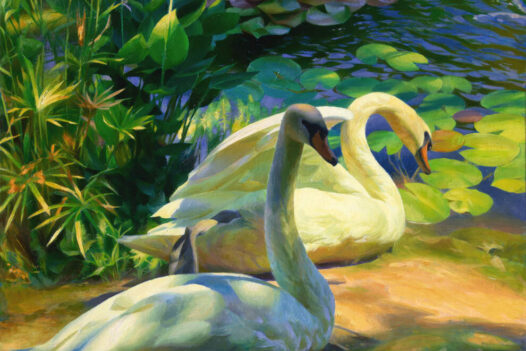Adrienne-Stein-Swan-Fantasy-II
