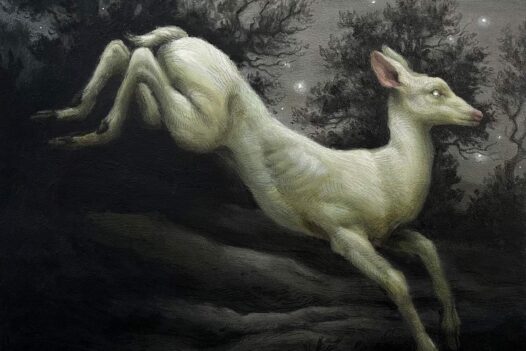 MARY-CARROLL-STARGAZER
