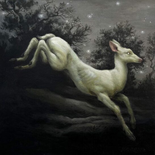 MARY-CARROLL-STARGAZER