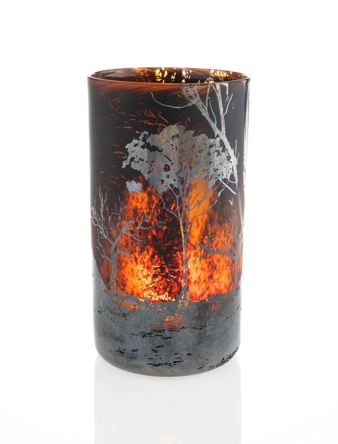 Jessica Murtagh-Bunyip bushfire