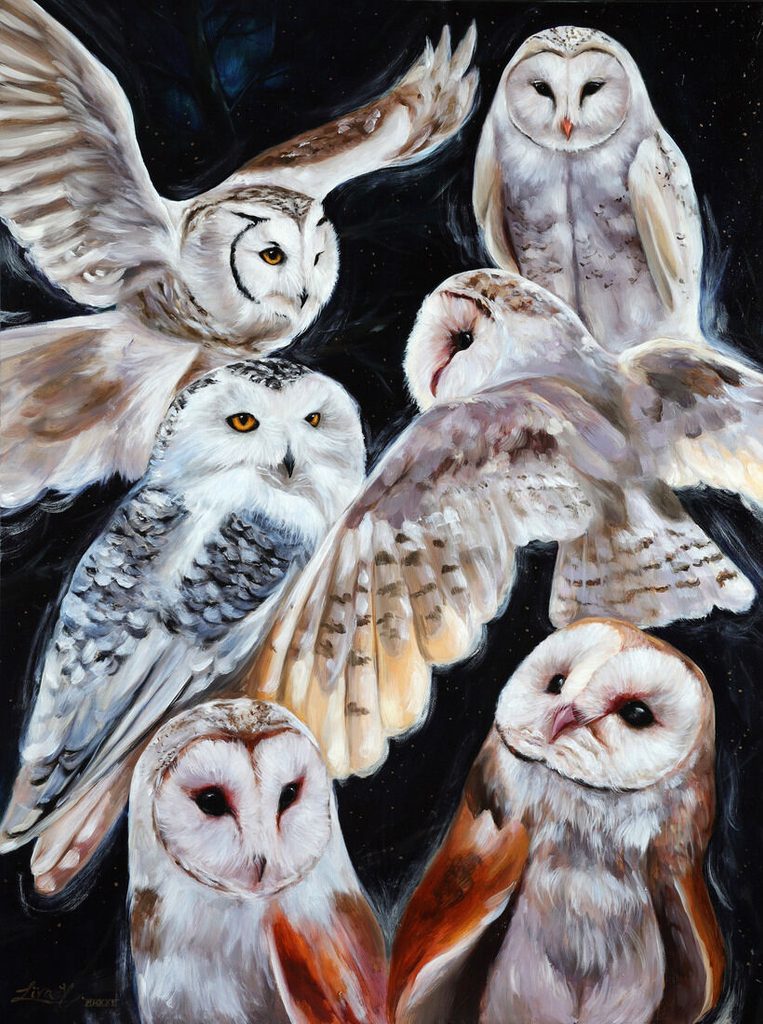 liva-vilemsone-owl-colony
